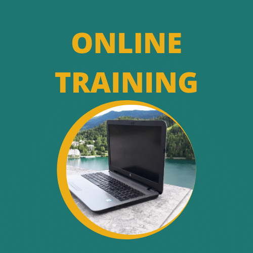 Online website maken training
